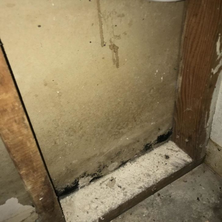 Mold investigation | home inspectors Fayetteville AR | Fayetteville AR | Home Inspection
