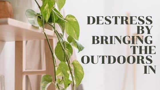 Destress by bringing the outdoors in home inspectors Fayetteville AR | Fayetteville AR | Home Inspection