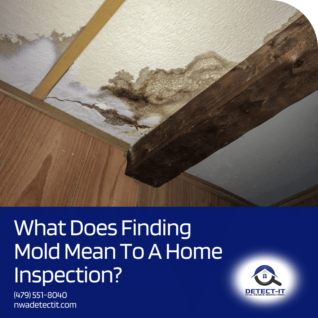 Detect-It-Real-Estate-Inspections-What-Does-Finding-Mold-Mean-To-A-Home-Inspection What Does Finding Mold Mean To The Home Inspection? - home inspectors Fayetteville AR