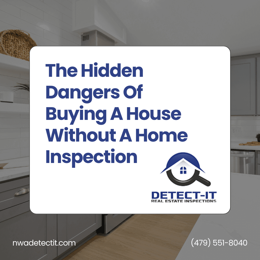 Detect-It-Real-Estate-Inspections-Team-The-Hidden-Dangers-Of-Buying-A-House-Without-A-Home-Inspection