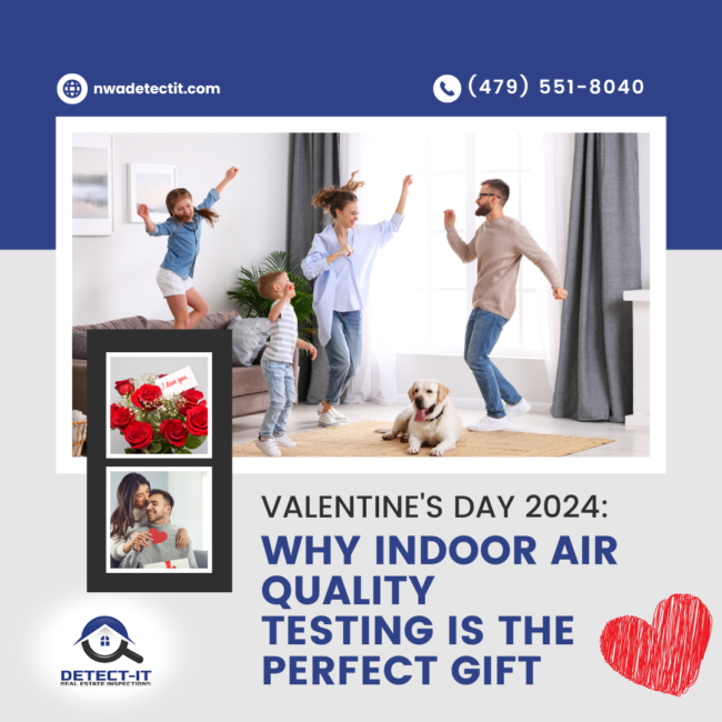 Detect-It-Real-Estate-Inspections-Valentines-Day-2024_-Why-Indoor-Air-Quality-Testing-is-the-Perfect-Gift Detect-It-Real-Estate-Inspections-Valentines-Day-2024_-Why-Indoor-Air-Quality-Testing-is-the-Perfect-Gift