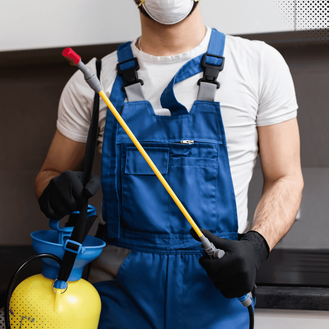 Protect Your Home This Winter: Pest Prevention Tips For Homeowners Protect Your Home This Winter: Pest Prevention Tips For Homeowners